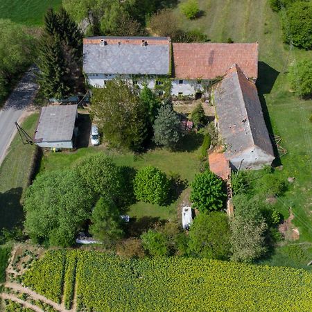 Gospodarstwo U Krakusa Doboszowice Dış mekan fotoğraf