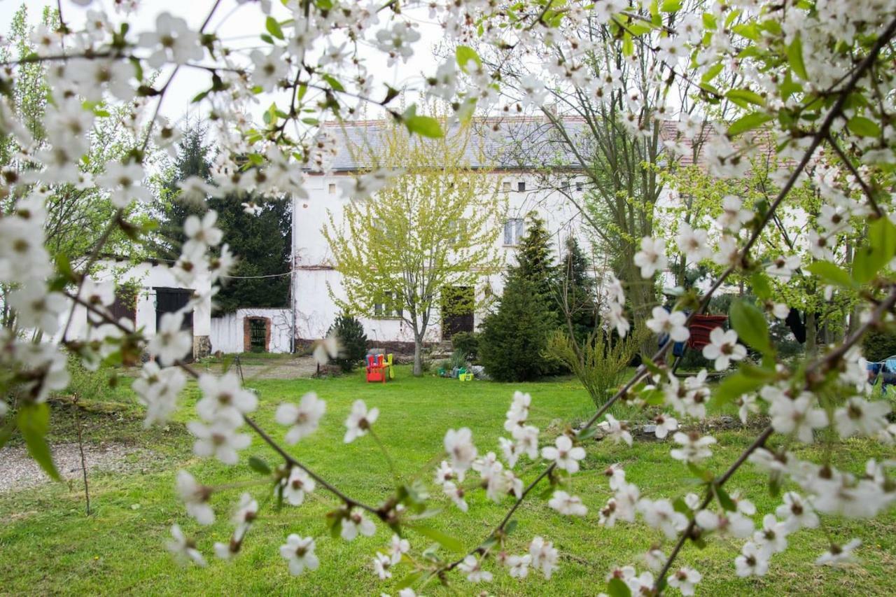 Gospodarstwo U Krakusa Doboszowice Dış mekan fotoğraf