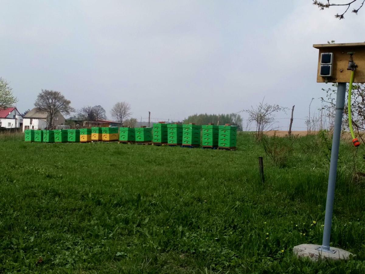 Gospodarstwo U Krakusa Doboszowice Dış mekan fotoğraf